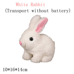 BunnyDash | Elektrokaninchen-Simulation