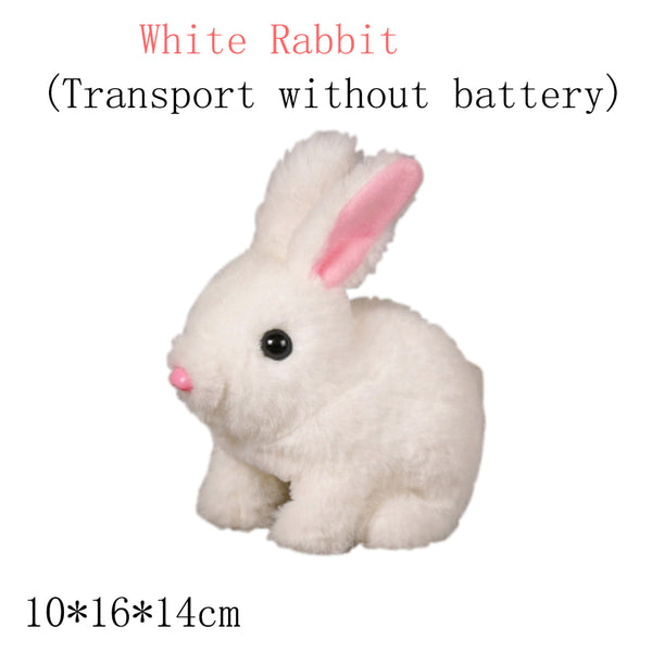 BunnyDash | Elektrokaninchen-Simulation