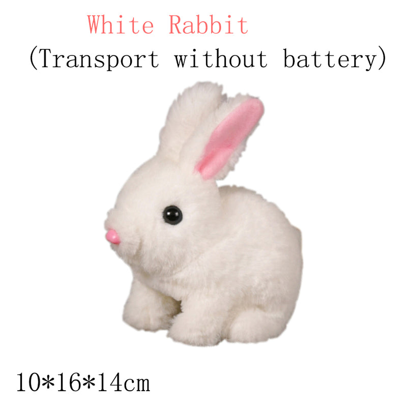 BunnyDash | Elektrokaninchen-Simulation