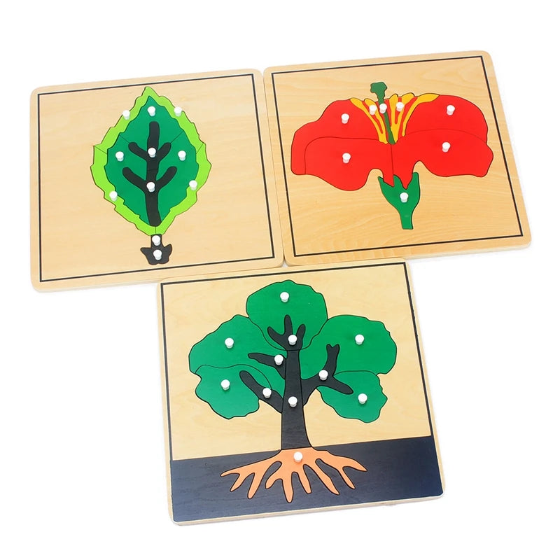 Pflanzen-Lernspielzeug aus Holz für Kinder | Set mit 3 Stück