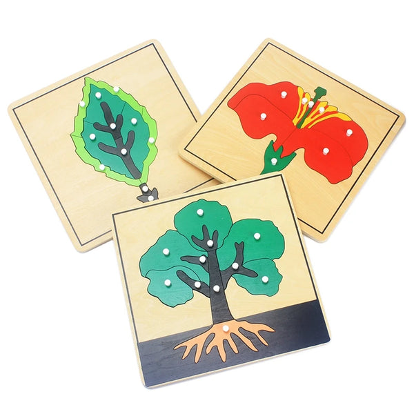 Pflanzen-Lernspielzeug aus Holz für Kinder | Set mit 3 Stück