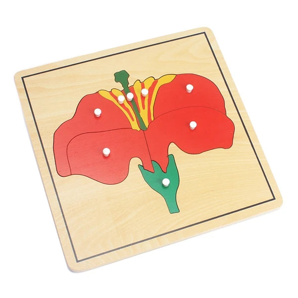 Pflanzen-Lernspielzeug aus Holz für Kinder | Set mit 3 Stück