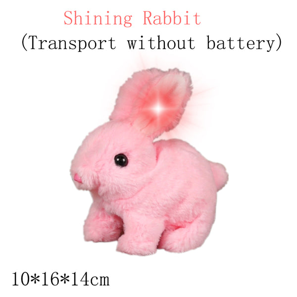 BunnyBlitz | Elektrokaninchen-Simulation