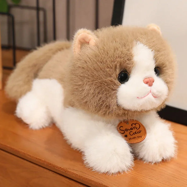 Charmante Kätzchen weiche Plüschtiere für Kinder | Bundle von 3