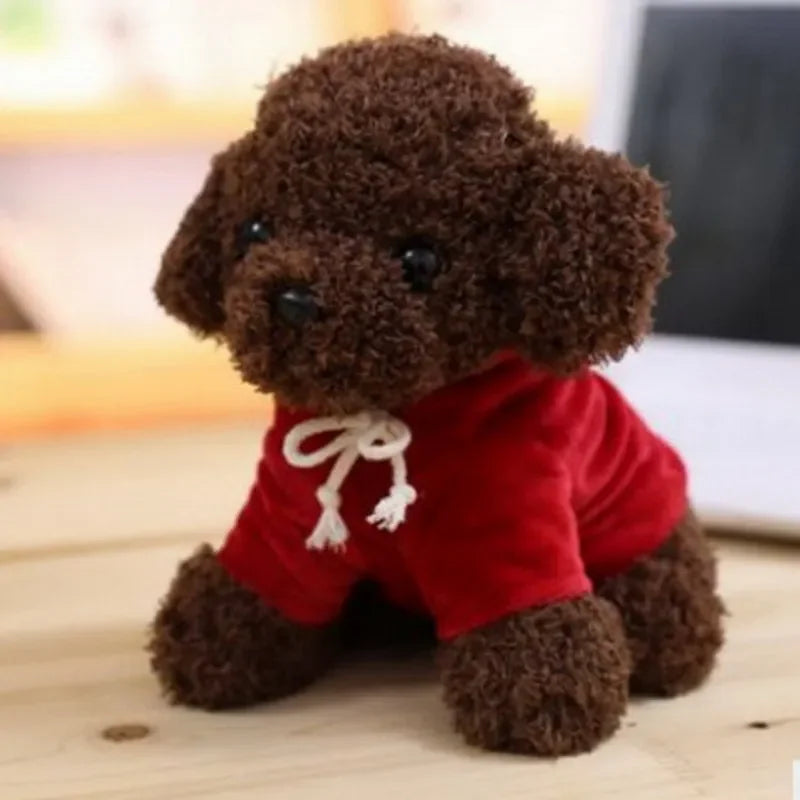 Teddyhund mit Hoodie Plüschspielzeug für Kinder | 3er-Set