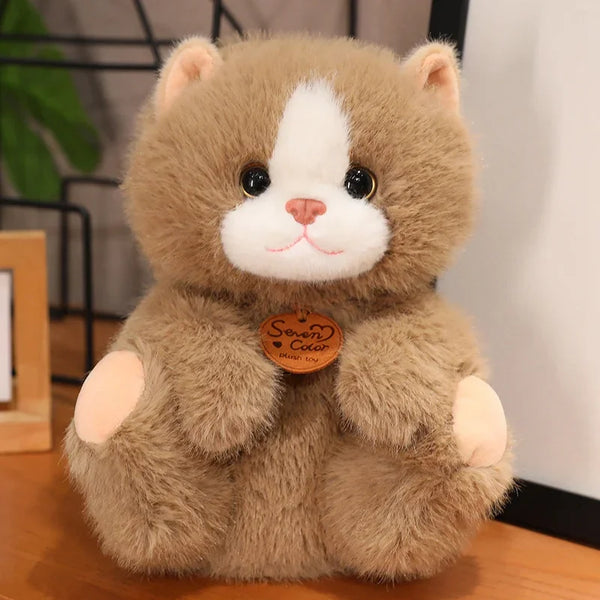 Niedliche Kätzchen weiche Plüschtiere für Kinder | Bundle von 3