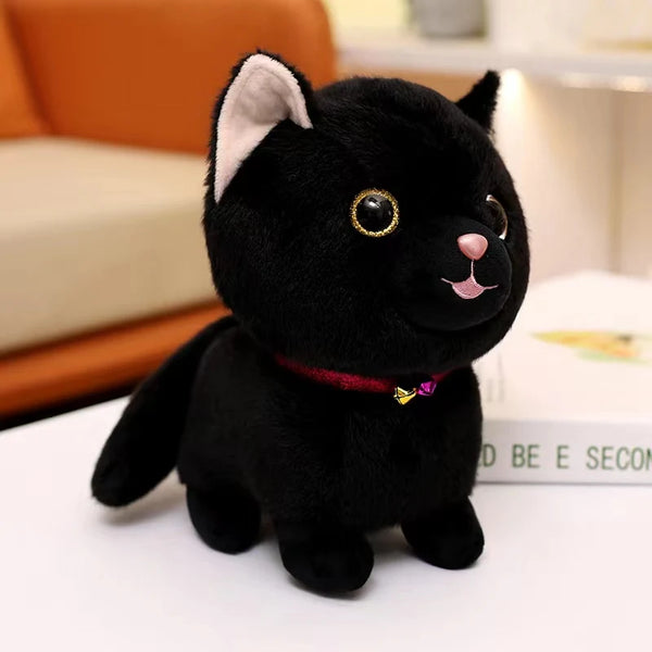 Schwarze Katze | Lehrreiches Plüschtier für Kinder