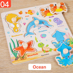 CoralQuest | Handgreifer Boards