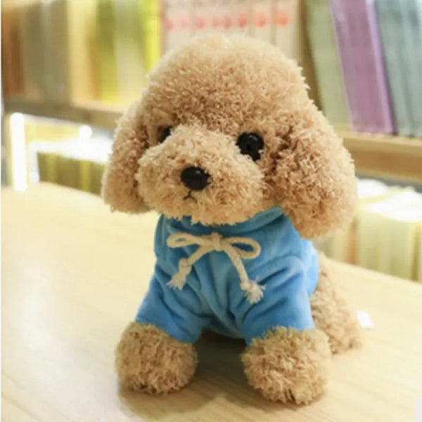Süßer Teddyhund mit Hoodie Plüschspielzeug für Kinder | 3er-Set