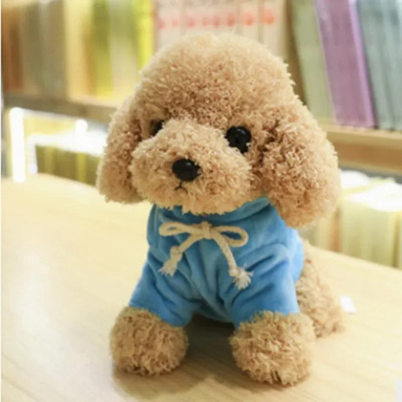 Süßer Teddyhund mit Hoodie Plüschspielzeug für Kinder | 3er-Set