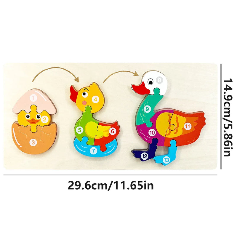QuackWonders  | Lernen mit 3D-Holzpuzzle