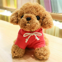 TeddyPoodle | Niedlicher Plüschhund