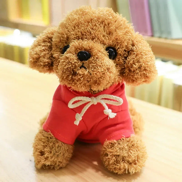 TeddyPoodle | Niedlicher Plüschhund