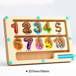 NumberQuest | Farbe Sortieren Brettspiel