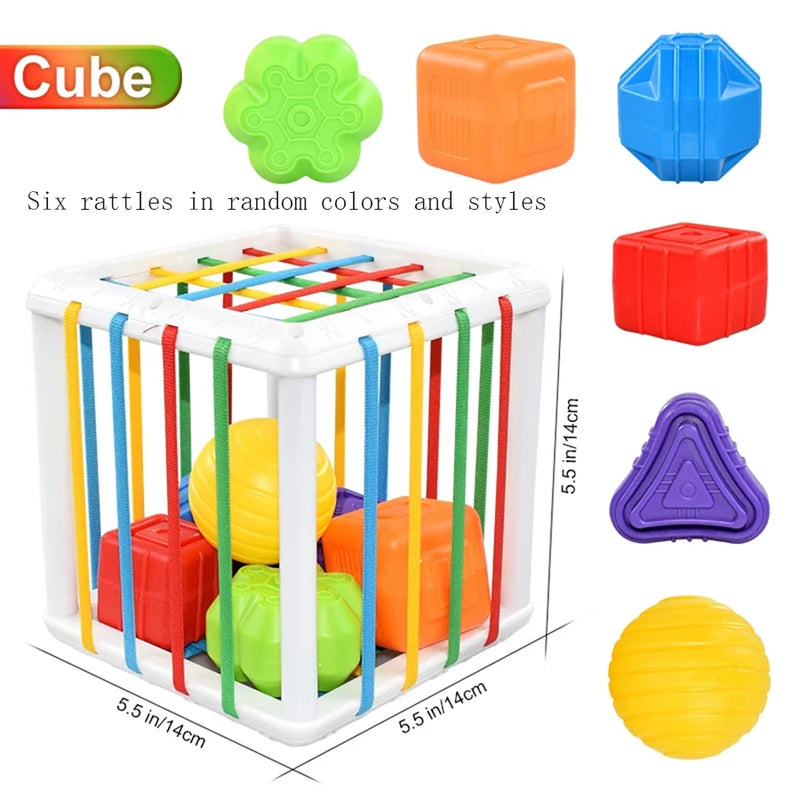 CubeCraze | Form Sensorik Spielzeug