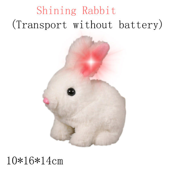 BunnyZap | Elektrokaninchen-Simulation