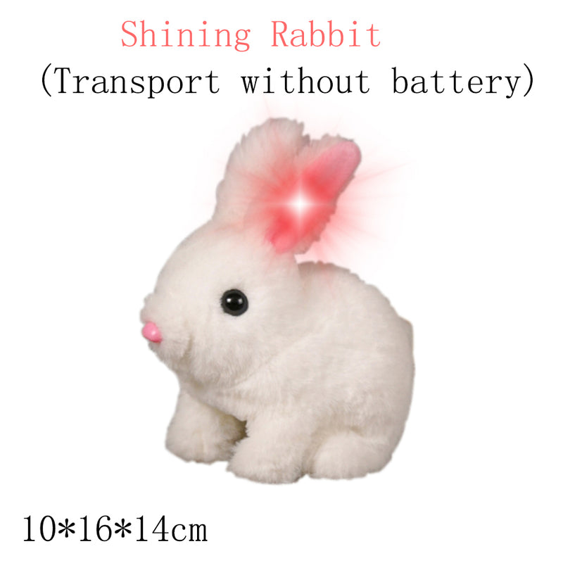 BunnyZap | Elektrokaninchen-Simulation